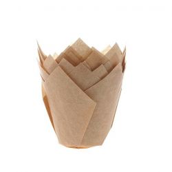 Cápsula "tulipa" Craft x 36 - HM
